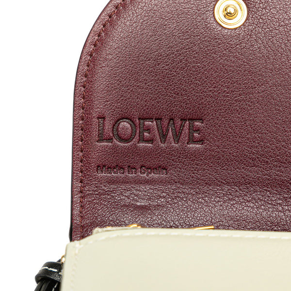 ロエベ アナグラム ゲートポシェット ショルダーウォレット バッグ ライトグリーン ベージュ レザー レディース LOEWE 【中古】